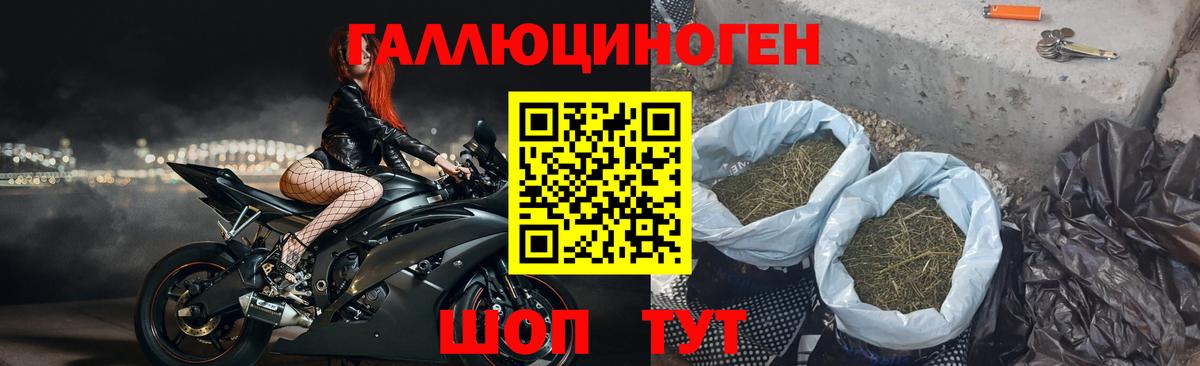 Симферополь  Галлюциногенные грибы Psilocybe  Вход с VPN 